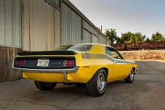 FY1 Lemon Twist AAR Cuda