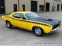 FY1 AAR Cuda Survivor