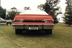 77RoadRunner318T-Tops-2